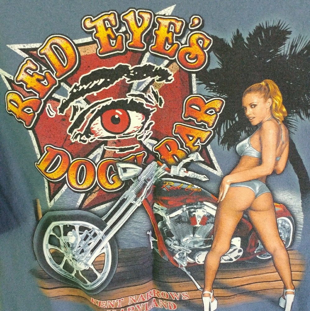 Harley Davidson Biker Enthusiast